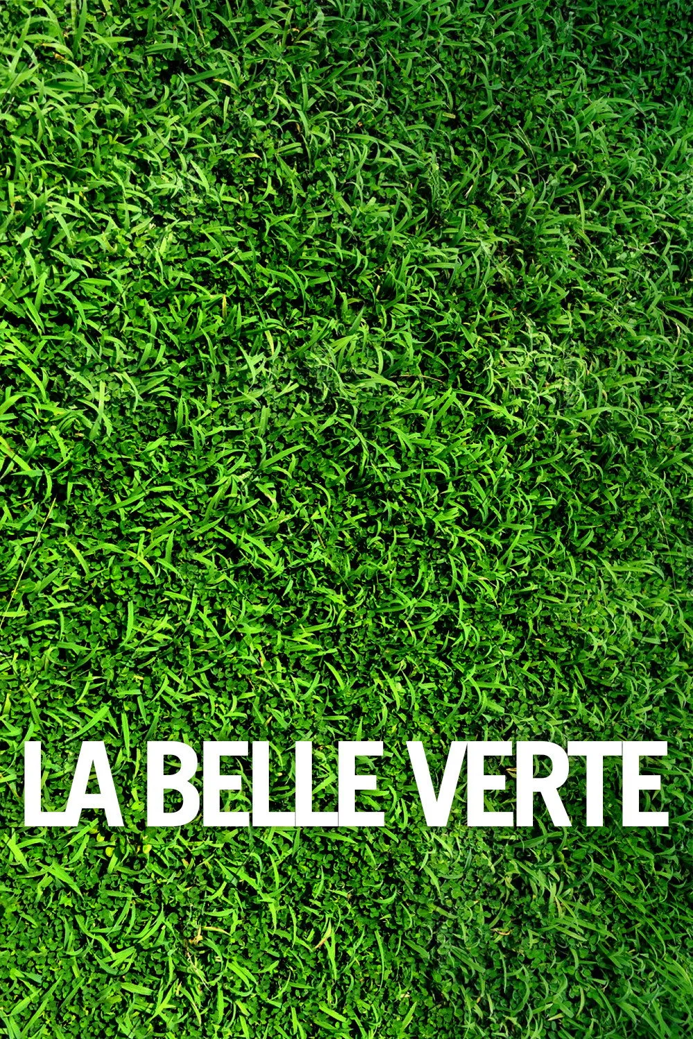 La Belle Verte (1996)